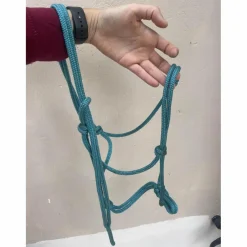 licol éthologique bleu turquoise*- Marque inconnue - Online