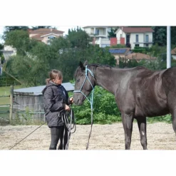 - Marque inconnue - Licols Et Longes>Licol éthologique taille cheval