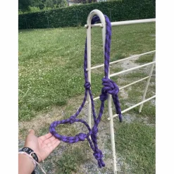 Licol éthologique violet et noir COB*- Marque inconnue - Best