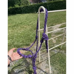Licol éthologique violet et noir COB*- Marque inconnue - Best