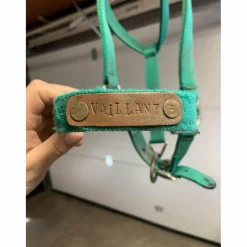 licol vert*- Marque inconnue - Sale