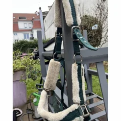 licol vert*Felix Bhuler Best