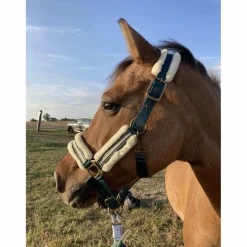 Felix Bhuler Licols Et Longes>Licol vert