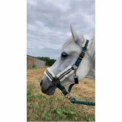 Felix Bhuler Licols Et Longes>Licol vert