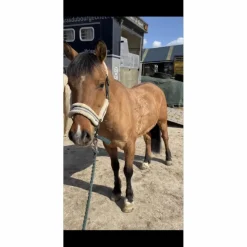 Felix Bhuler Licols Et Longes><noscript><img width=