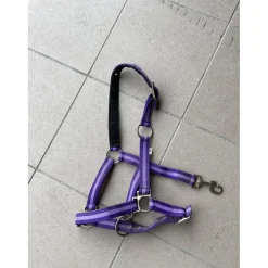 Licol Violet*- Marque inconnue - New
