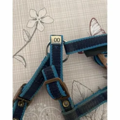 Covalliero Licols Et Longes><noscript><img width=