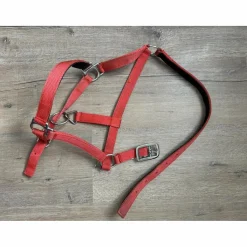 - Marque inconnue - Licols Et Longes>licole simple rouge