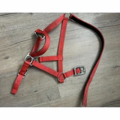 - Marque inconnue - Licols Et Longes><noscript><img width=