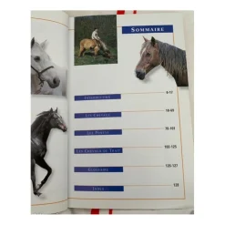- Marque inconnue - Livres>Livre chevaux et poneys