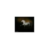 - Marque inconnue - Livres>livre Les chevaux