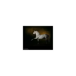 - Marque inconnue - Livres>livre Les chevaux