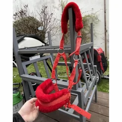 longe et licol rouge*- Marque inconnue - Discount