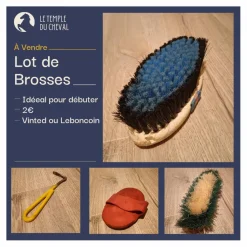 Lot de brosses*Decathlon