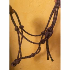 lot de deux licols*- Marque inconnue - Clearance