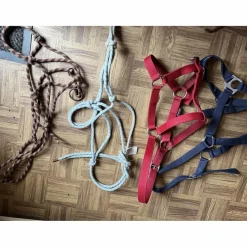 - Marque inconnue - Licols Et Longes>lot licol