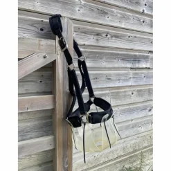 Lot : panier, licol et protections de licol*Thinline Clearance