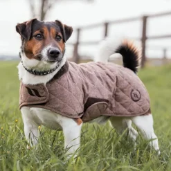 Manteau chien hiver*Back on Track Clearance