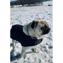 Accessoires Pour Chien>Manteau Kentucky XS