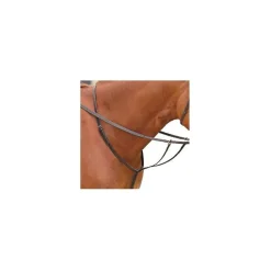 - Marque inconnue - Martingales>Martingale
