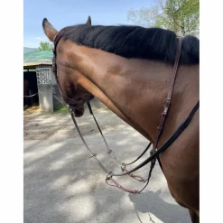 Martingale*CWD Clearance