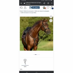 Claridge House Martingales>Martingale
