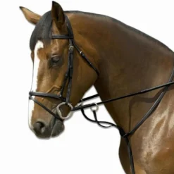 Martingale*Fouganza Clearance