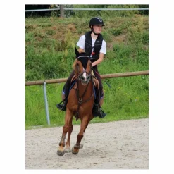 martingale*- Marque inconnue - Discount