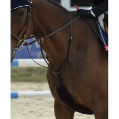 Privilege Equitation Martingales>Martingale