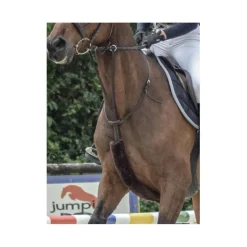 Privilege Equitation Martingales>Martingale