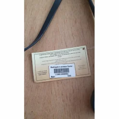 Canter Martingales><noscript><img width=