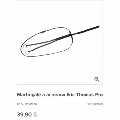 Eric Thomas Martingales><noscript><img width=