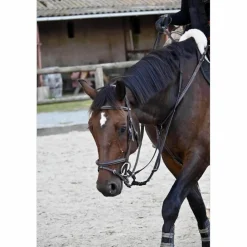 Martingale / collier de chasse*- Marque inconnue - Discount