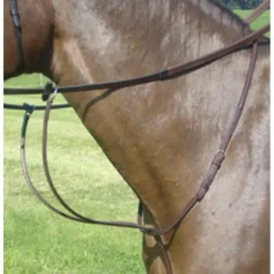 Amerigo Martingales>Martingale neuve