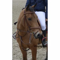 Antares Martingales>Martingale