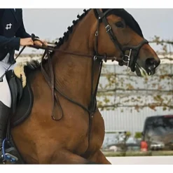 Antares Martingales>martingale