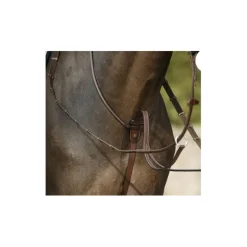 Antares Martingales>Martingale taille 2