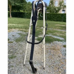 Canter Martingales>Martingale noir