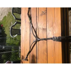Martingale cheval*Protanner Clearance