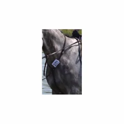 Martingale*CWD Sale