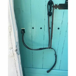 Martingale*CWD Hot