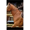 Norton Martingales>Martingale fixe