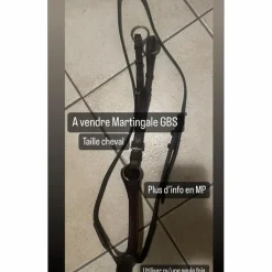 Martingale*GBS Online