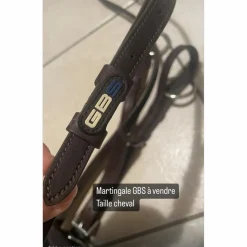 Martingale*GBS Online