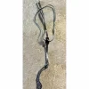 martingale GODIGNON*Herve Godignon - Jump'in Online