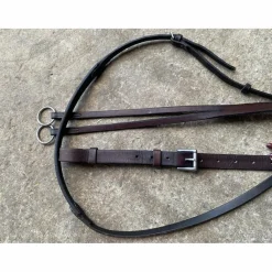 In Horse We Trust Martingales>Martingale IHWT