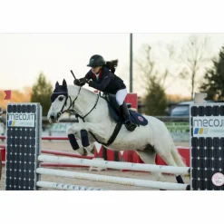 Privilege Equitation Martingales>Martingale noir