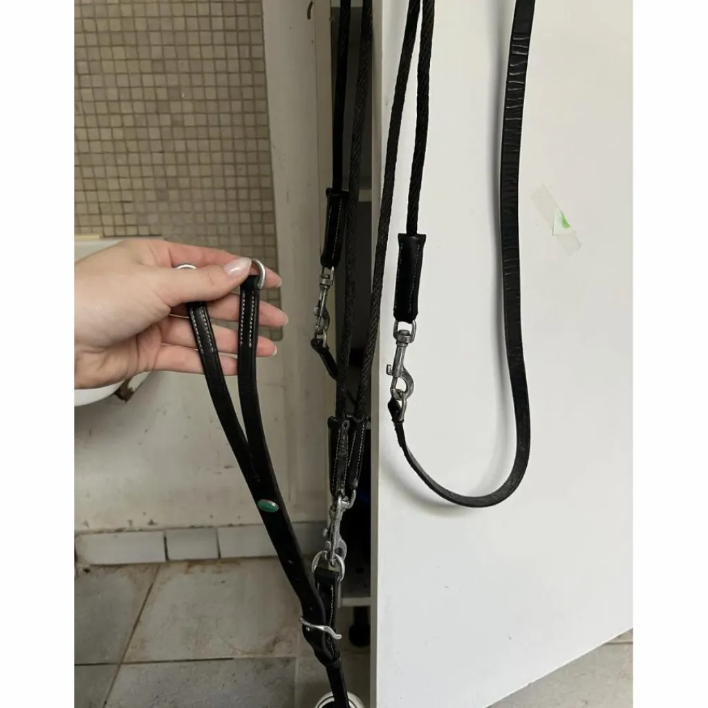 Martingale poney avec rênes amovibles*Norton
