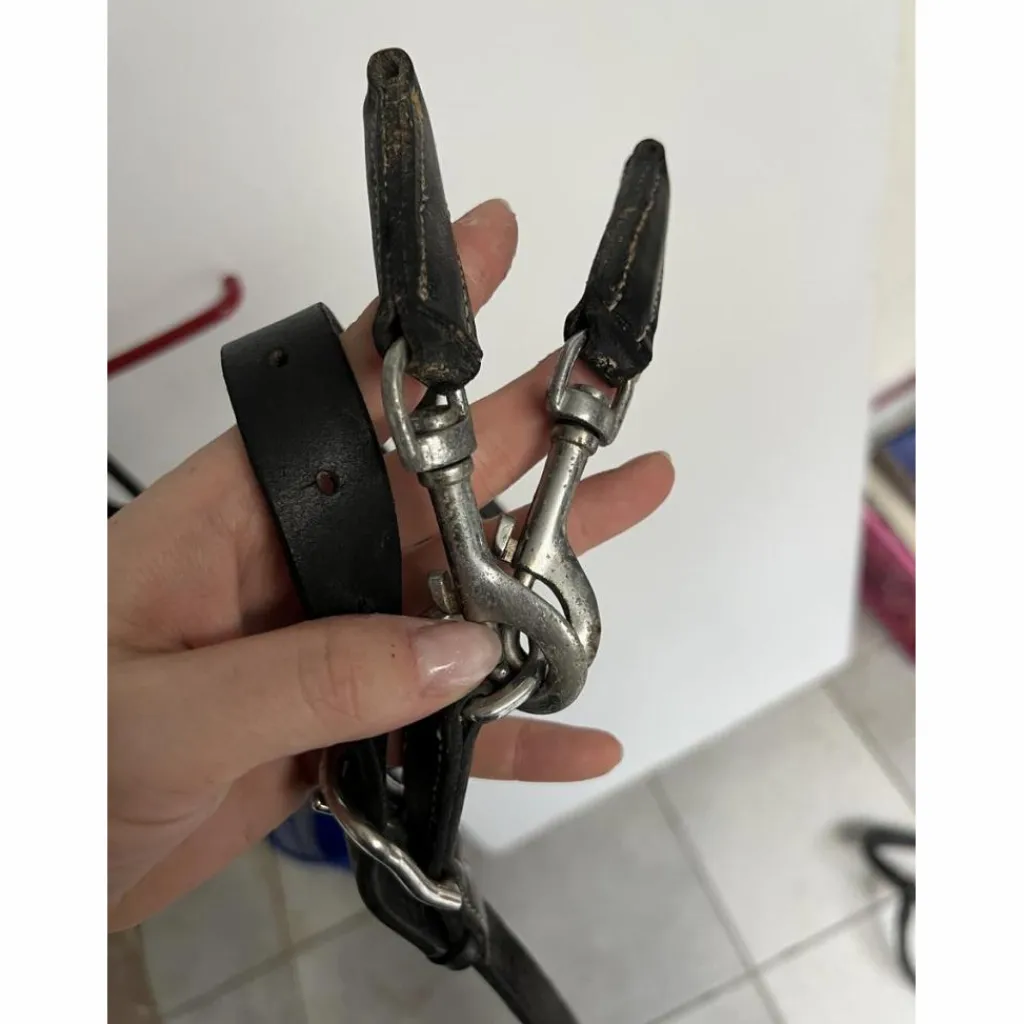Martingale poney avec rênes amovibles*Norton