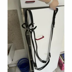 Martingale poney avec rênes amovibles*Norton